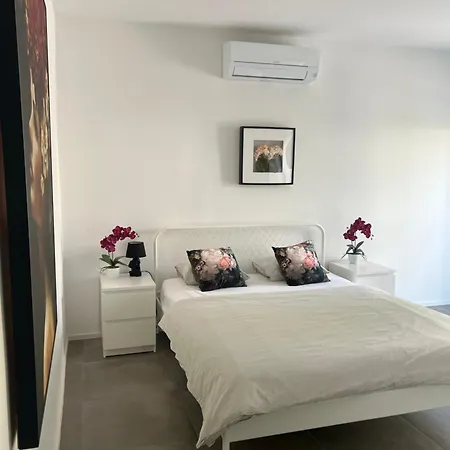 Lily * リュブリャナ